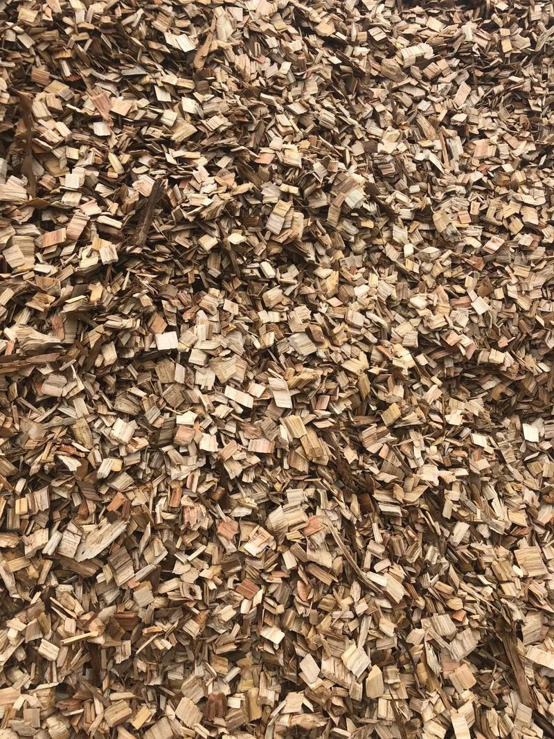 贺州桉木片收购市场全解读 湿吨现金结算背后的产业逻辑与林农机遇